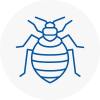 Bed Bug Extermination In Ladbroke Grove