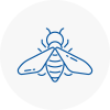 Bee Nest Removal Ladbroke Grove