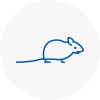 Mice Exterminators In Ladbroke Grove