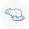 Rat Control Ladbroke Grove