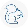 Ladbroke Grove Rodent Removals